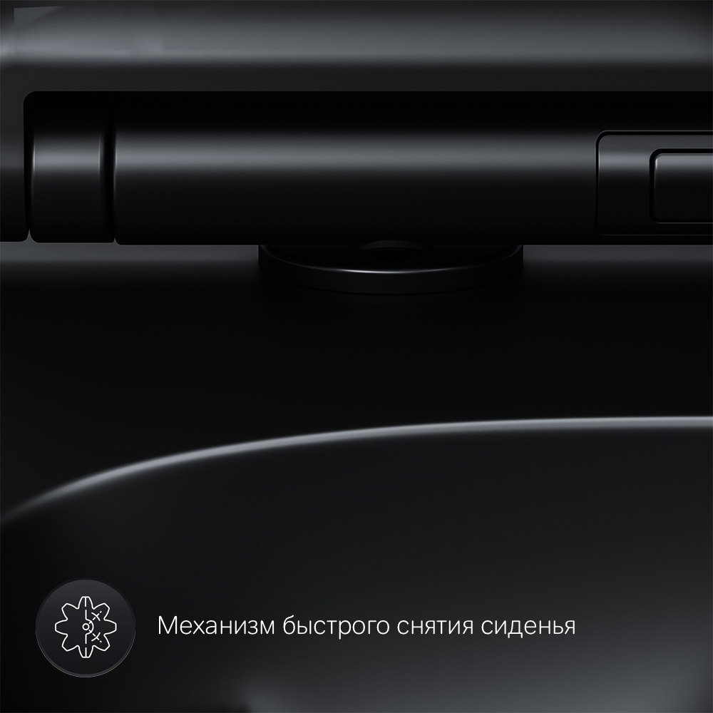 Унитаз подвесной AM.PM X-Joy FlashClean с сиденьем микролифт, черный