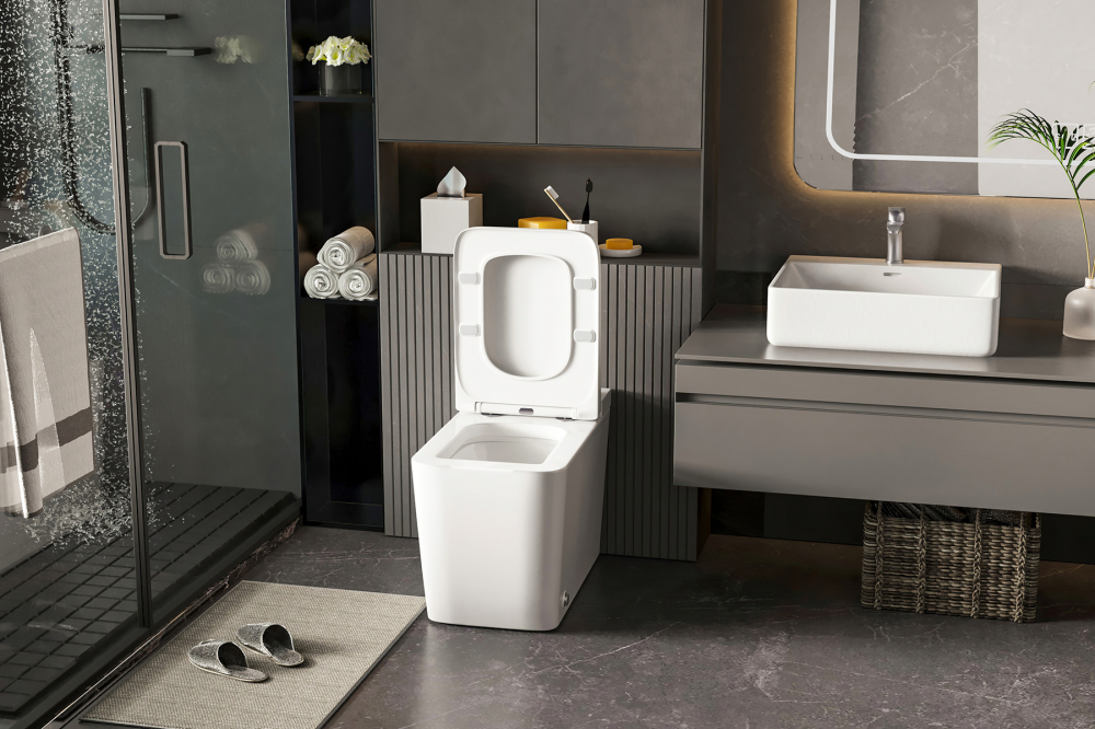 Унитаз Abber Rechteck AC1212P приставной белый с импульсным смывом