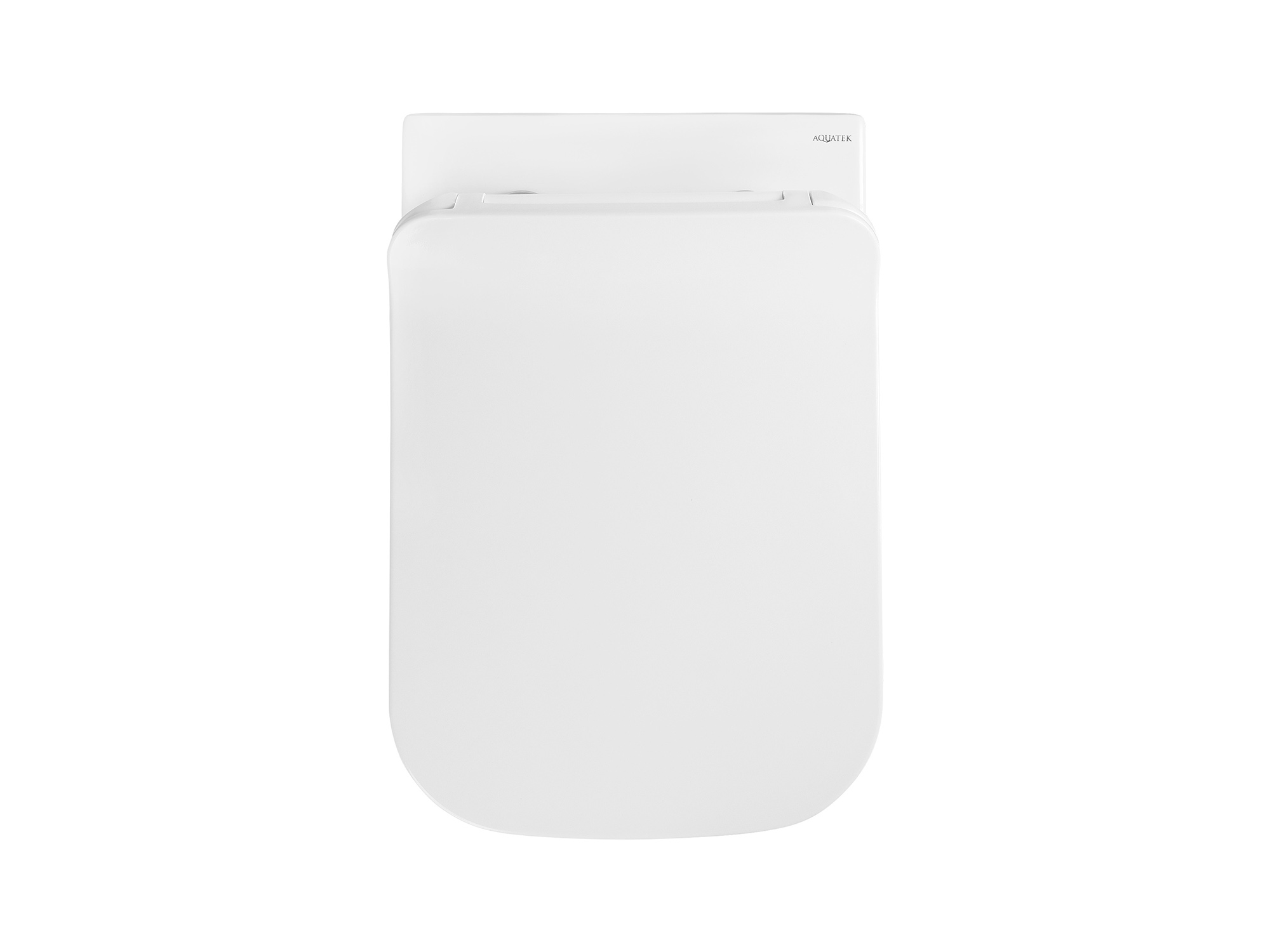 Унитаз подвесной безободковый Aquatek Дельта AQ1911-00 с сиденьем Soft Close