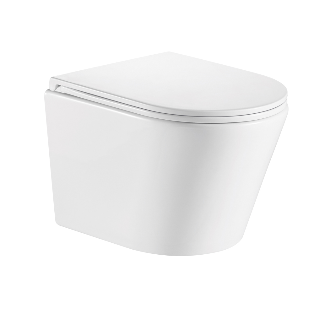 Унитаз подвесной Olive's SIERRA TR30116DP