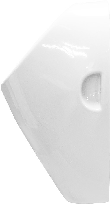 Писсуар Sanita luxe Long LNGSLUR01