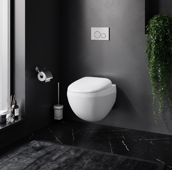 Унитаз подвесной AM.PM Sensation FlashClean с сиденьем микролифт