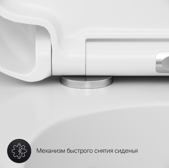 Унитаз подвесной AM.PM Sensation FlashClean с сиденьем микролифт