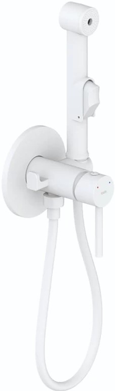 Смеситель с гигиеническим душем Iddis Axes 003WTR0i08