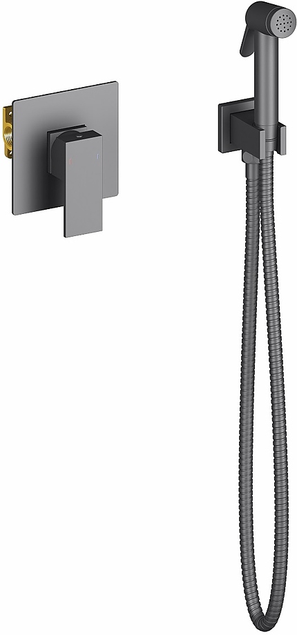 Смеситель встроенный с гигиеническим душем Timo Selene 2089/03SM