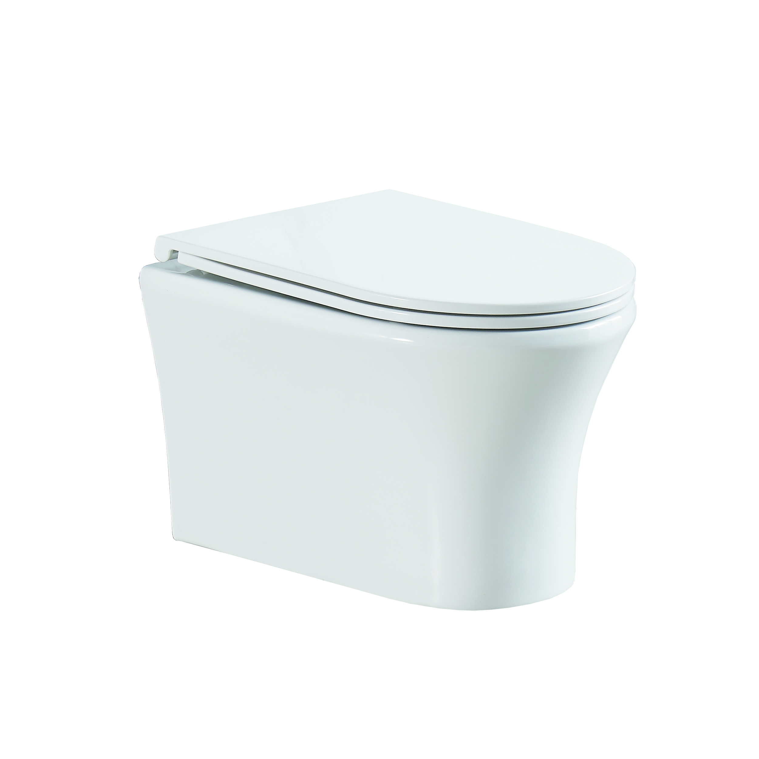 Унитаз подвесной Olive's SIERRA SR30116DP