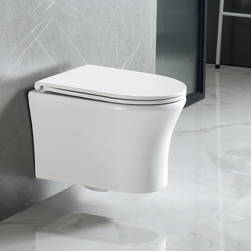 Унитаз подвесной Olive's SIERRA SR30116DP