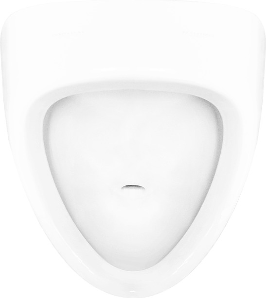 Писсуар Sanita luxe Long LNGSLUR01