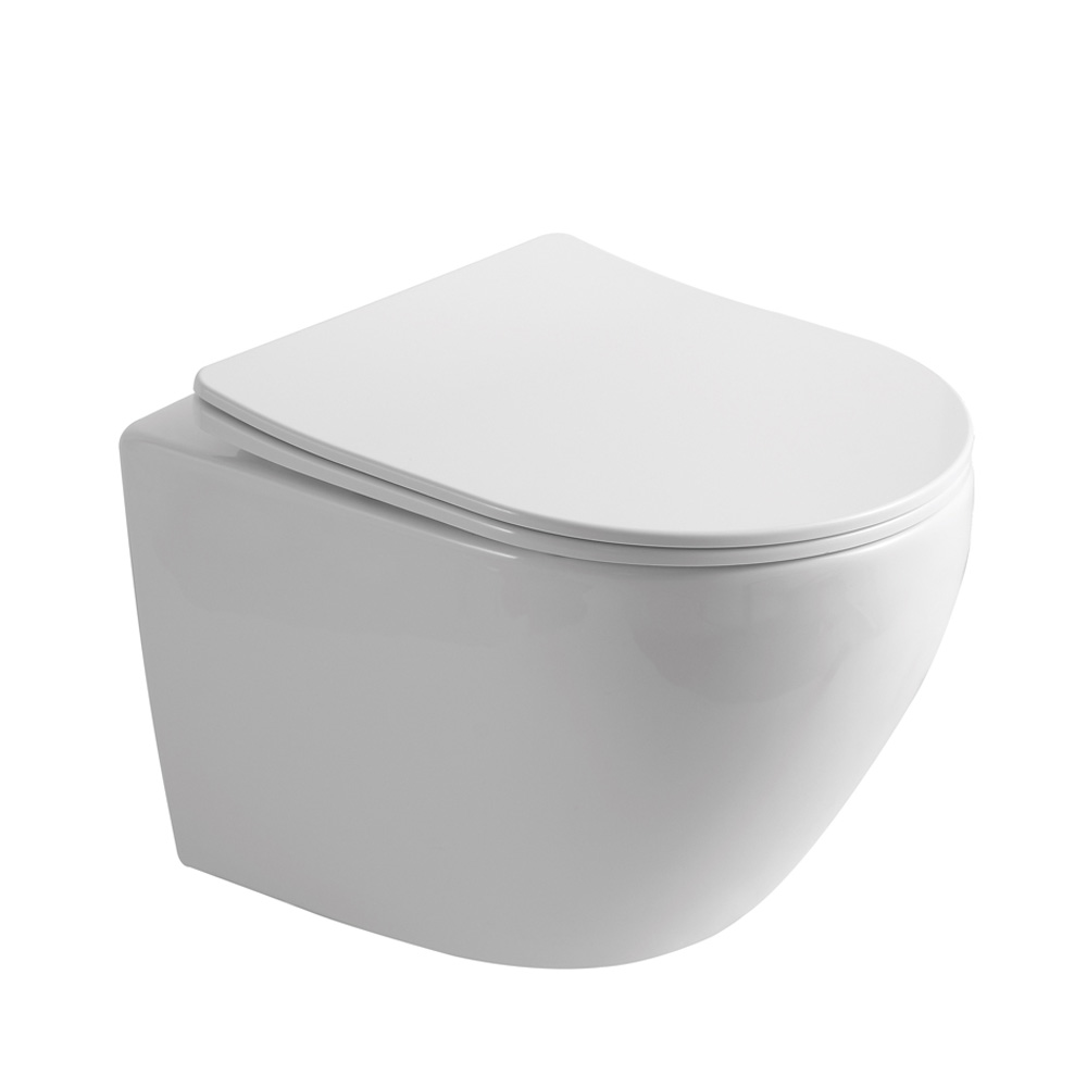 Унитаз подвесной Olive's Plaza PL30116DP