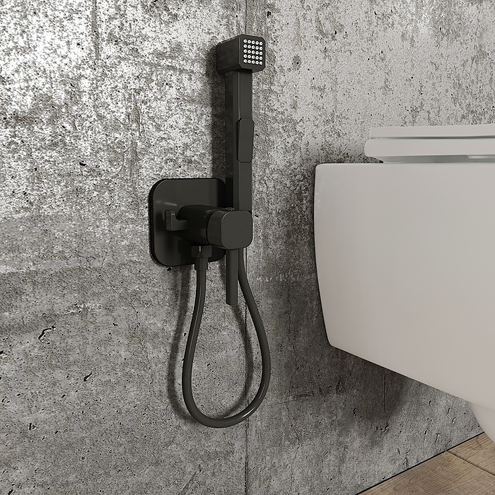 Смеситель с гигиеническим душем Iddis Axes 004BLS0i08